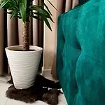 Comfort Deluxe Flat *