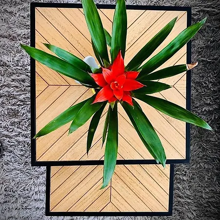 شقة Comfort Deluxe Flat روس