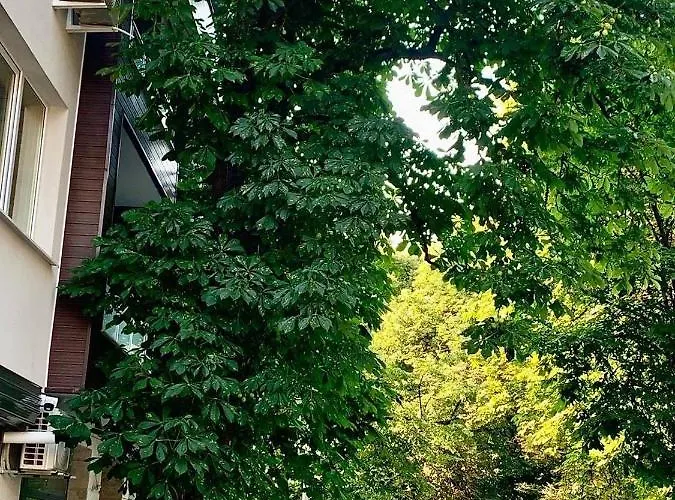 Апартаменты Comfort Deluxe Flat Русе