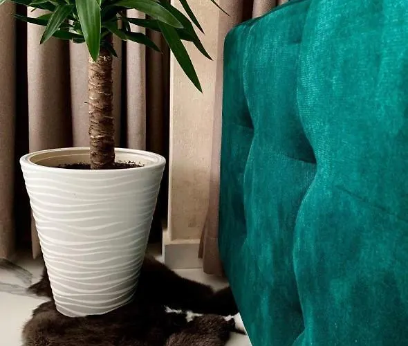 Comfort Deluxe Flat *