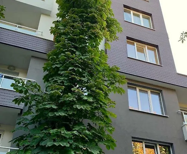 Апартаменты Comfort Deluxe Flat Русе